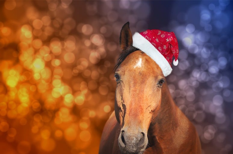 Horse Horse