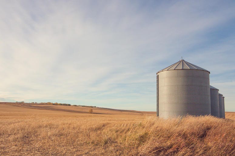 Grain Silo, Farm, Ranch, Field, Autumn Grain Silo, Farm, Ranch, Field, Autumn