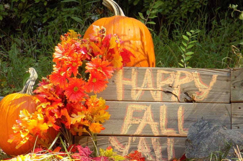 It's fall y'all! fall