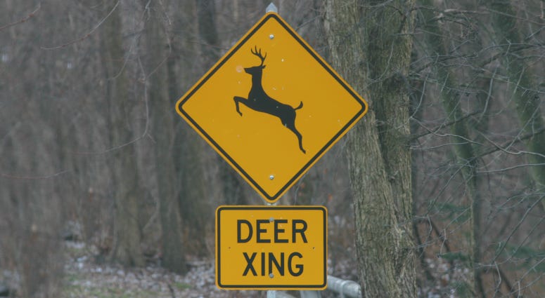A deer crossing road sign