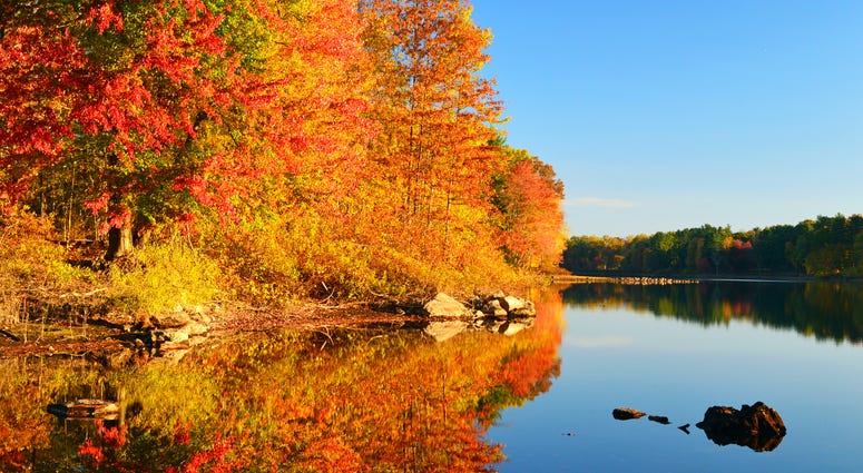 Red and orange trees along the river