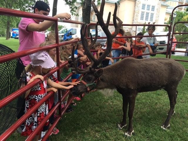 Children petting a reindeer at a public appearance