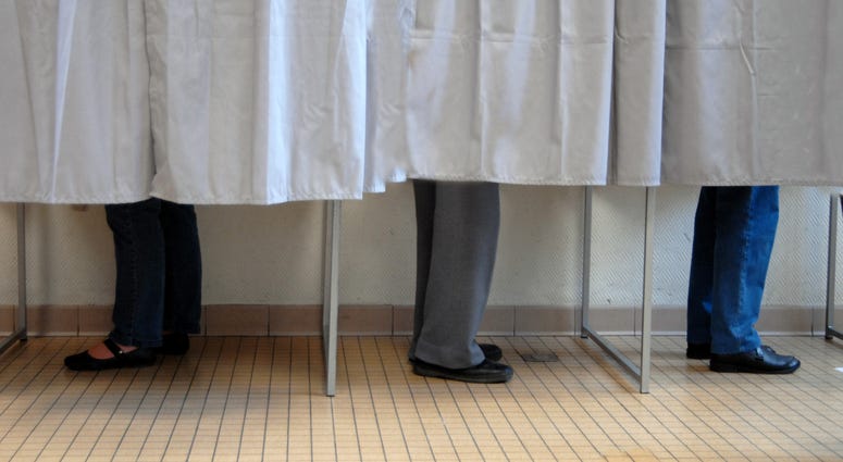 People stand inside voting booths