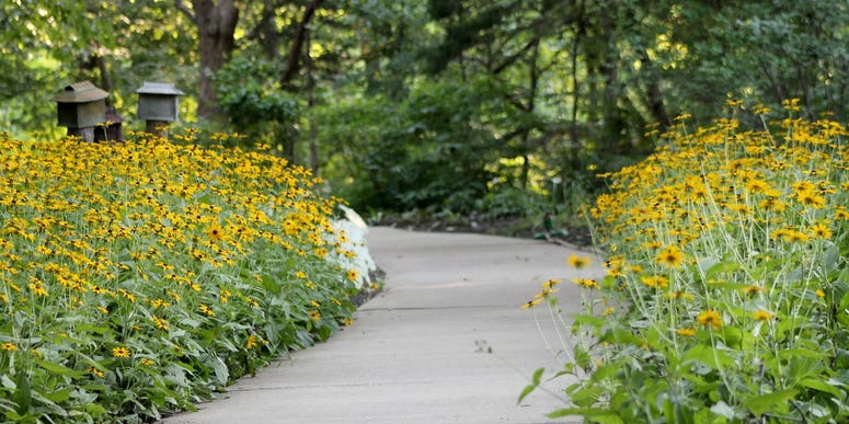 Photograph courtesy City of Overland Park Walkway at the Overland Park Arboretum, surrounded by beds of flowers