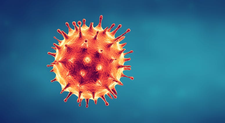 Artist rendition of the novel coronavirus