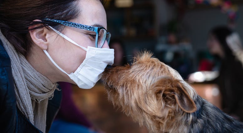 Woman in mask kissing dog