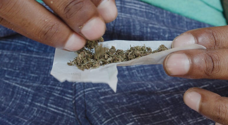 A man fills and rolls a marijuana joint