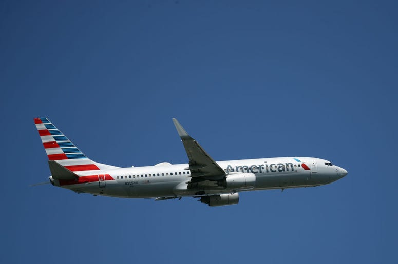 Horse Joined Owner On Flight From Chicago Horse Joined Owner On Flight From Chicago, horse on american airlines, american airlines