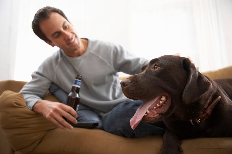 Coors Light Will Pay Your Dog Adoption Fee coors light, coors light will pay adoption free for dog, coors light valentine's day promotion