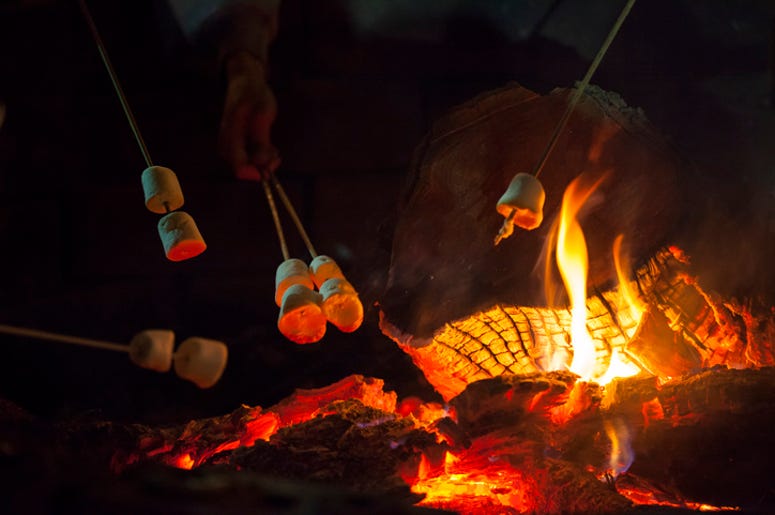 bacon smores bacon smores