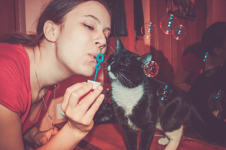 crazy cat lady crazy cat lady, crazy cat lady stereotypes