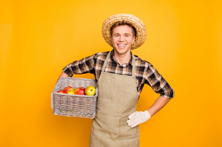 Minnesota Apple Orchards apple orchards, apple orchards near me, where can I pick apples, minnesota apple orchards