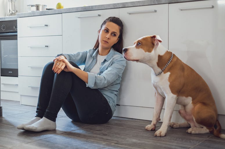 Science Says Your Stress is Stressing Your Dog Out Too Science Says Your Stress is Stressing Your Dog Out Too