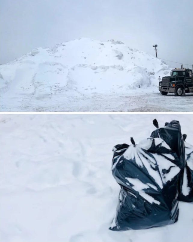 Minnesota Trashtag Challenge Minnesota Trashtag Challenge