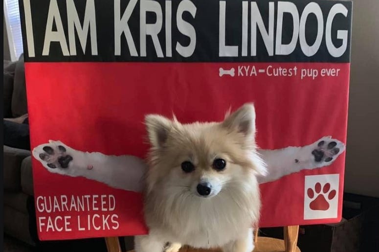 Kris Lindahl kris lindahl, kris lindahl real estate, kris lindahl billboards