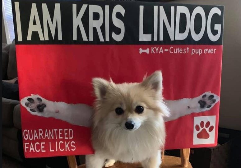 Kris Lindahl kris lindahl, kris lindahl real estate, kris lindahl billboards