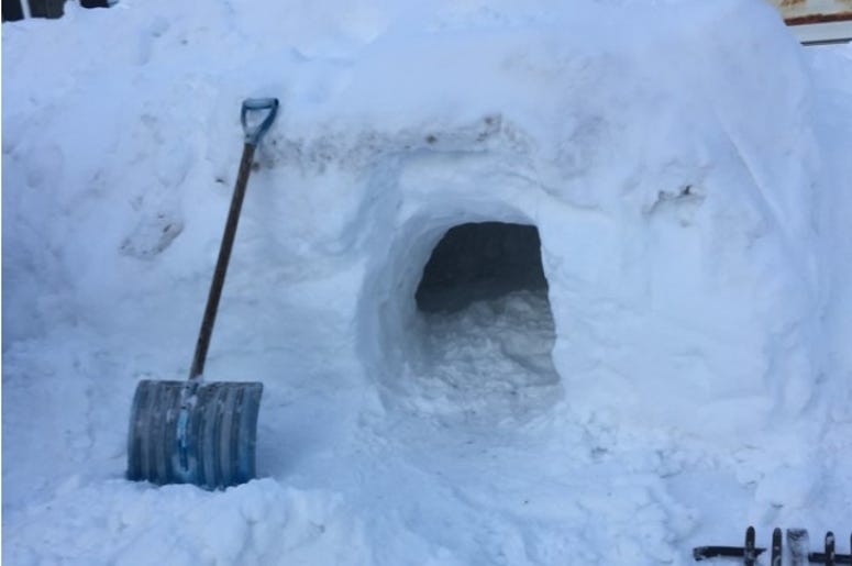 snow fort snow fort