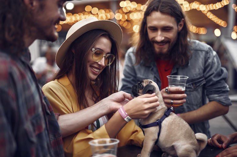 Unleased Hops and Hounds dog friendly bars, dog friendly patios, Unleased Hops and Hounds