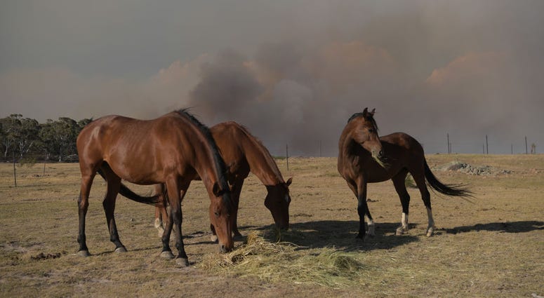 Australia fire