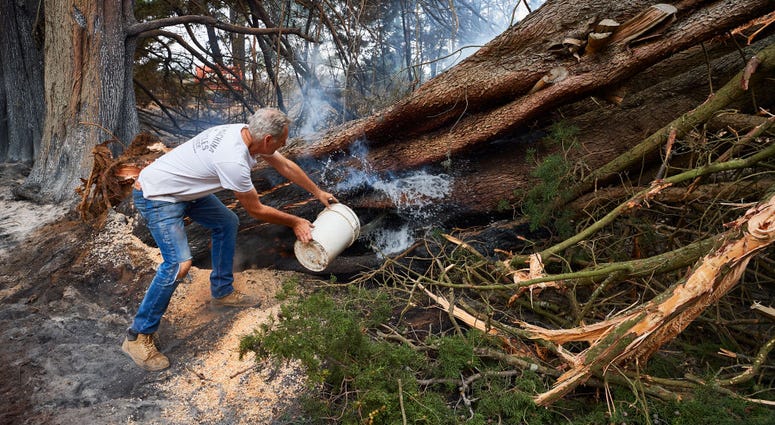 wildfire australia