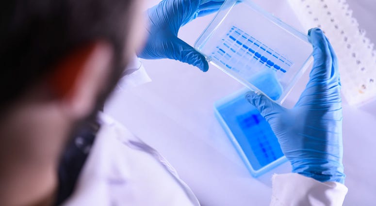 coronavirus, test, cure