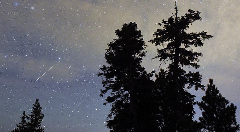 Perseid Meteor Shower