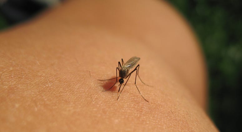 west nile virus spread by mosquito