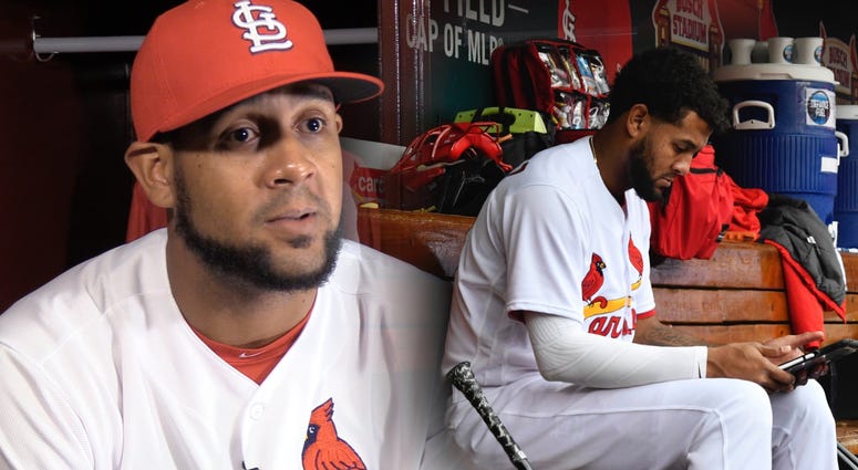 St. Louis Cardinals first baseman Jose Martinez watching video in the dugout. St. Louis Cardinals first baseman Jose Martinez watching video in the dugout.