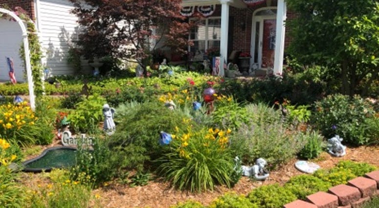Front yard of Janice Duffner in St. Peters. Front yard of Janice Duffner in St. Peters.