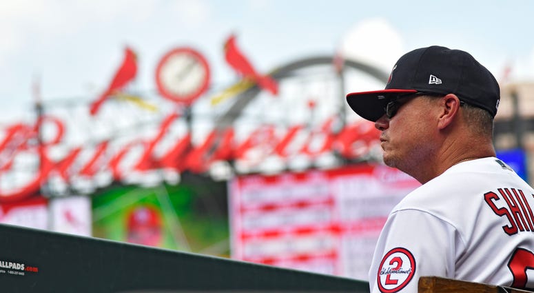 St. Louis Cardinals manager Mike Shildt. St. Louis Cardinals manager Mike Shildt.
