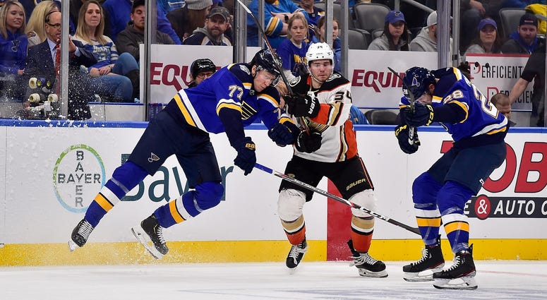 Blues vs. Sharks
