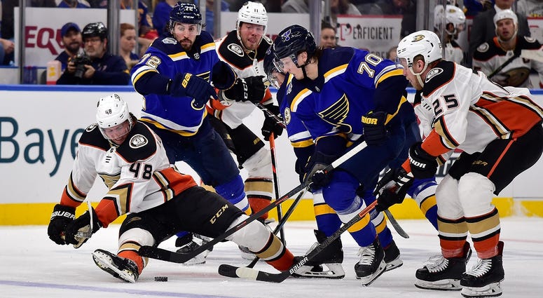 Blues vs. Sharks