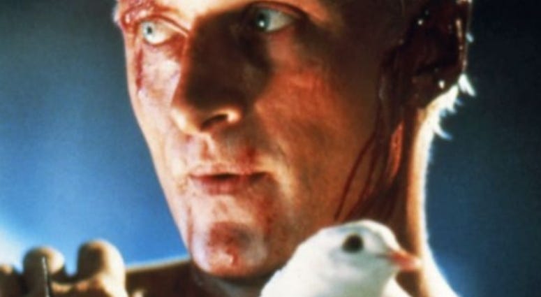 Rutger Hauer in Blade Runner