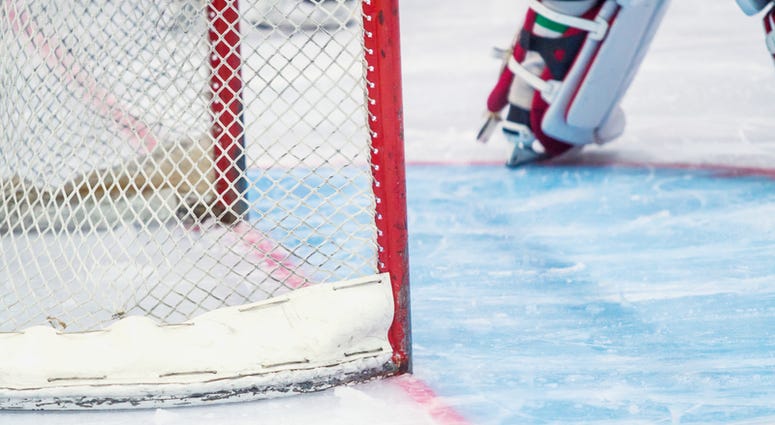 Hockey goal Hockey
