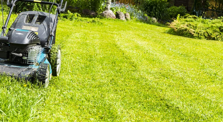 Lawn mowing