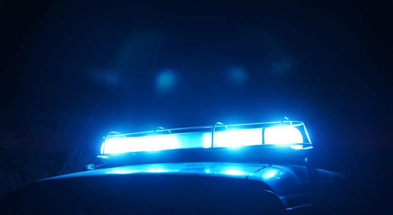Police beacon light in the night