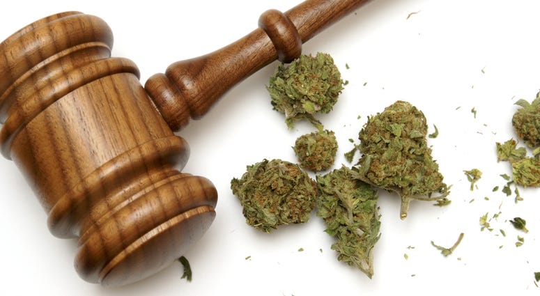 legal marijuana Marijuana and a gavel together for many legal concepts on the drug.