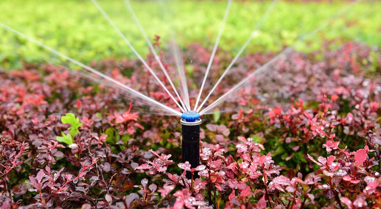 water sprinkler outdoor sprinkler system waters a flowerbed