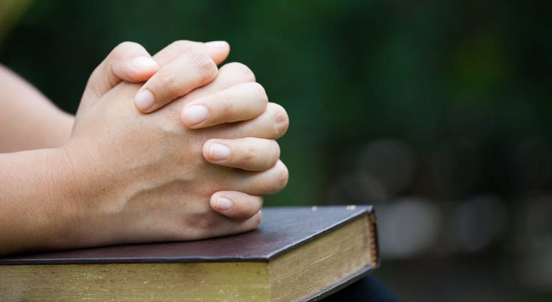 prayer Woman hands folded in prayer on a Holy Bible for faith concept in nature green background