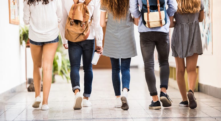 students Group of teenage students in high school hall.