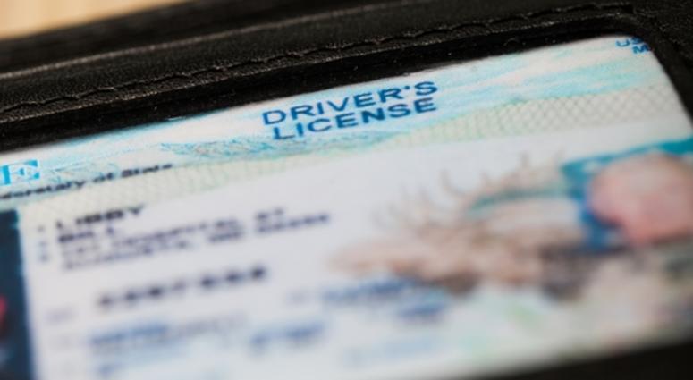 Drivers license a drivers license in a wallet