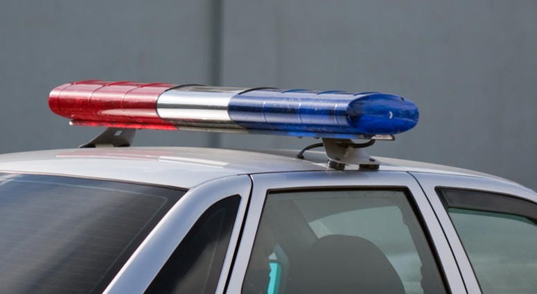 Police cop officer law emergency service car siren