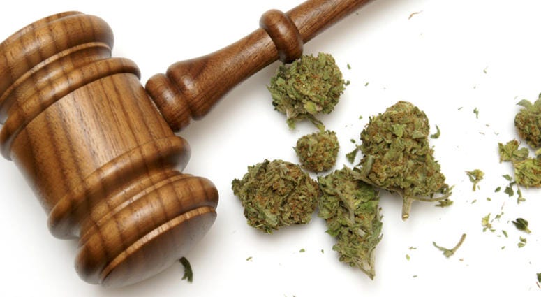 legal marijuana Marijuana and a gavel together for many legal concepts on the drug.