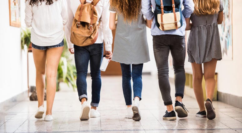 students Group of teenage students in high school hall.