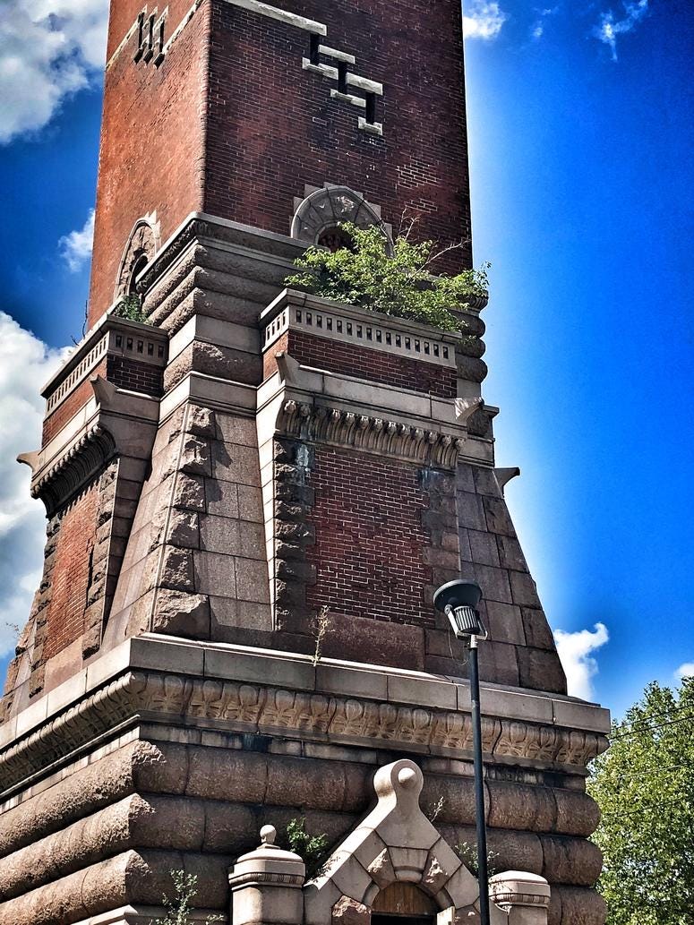 Tree growing out of the Bissell (or Red) Tower. Photo by D. Monterrey Tree growing out of the Bissell (or Red) Tower. Photo by D. Monterrey