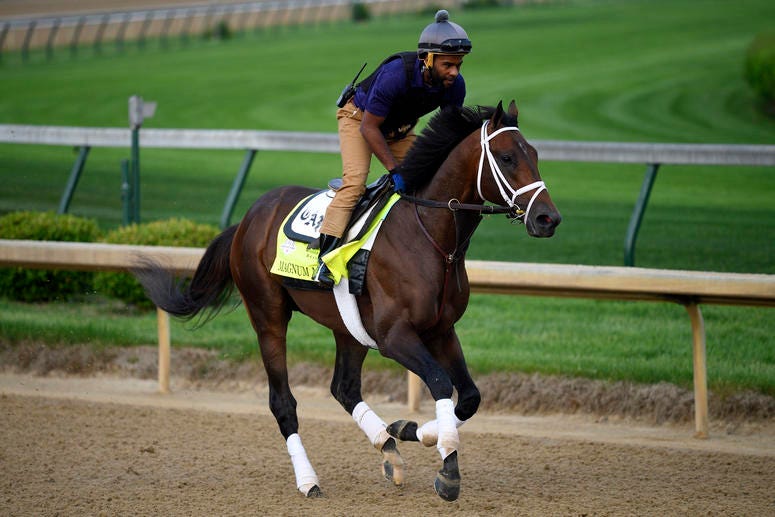 An exercise rider works Kentucky Derby entry Magnum Moon at Churchill Downs. An exercise rider works Kentucky Derby entry Magnum Moon at Churchill Downs.