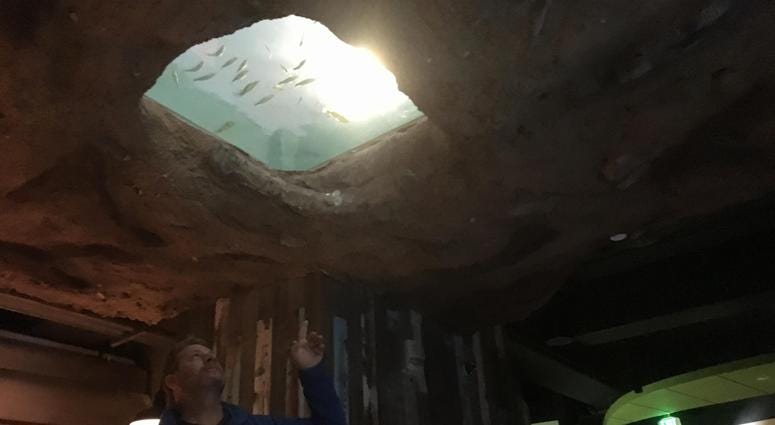 St. Louis Aquarium