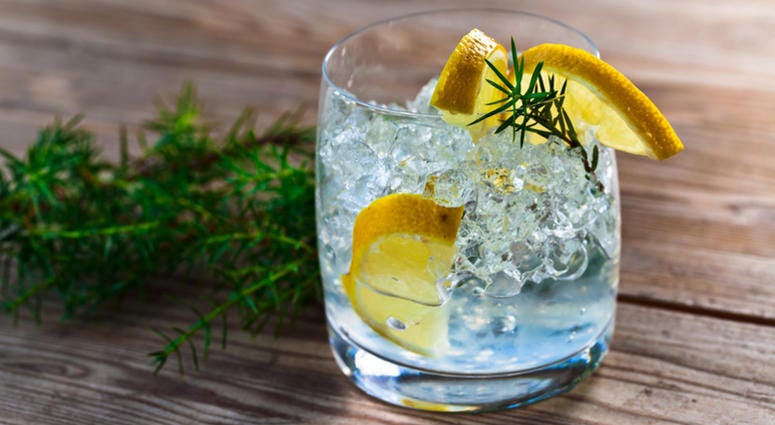 gin Gin and tonic with lemon and ice on wooden table