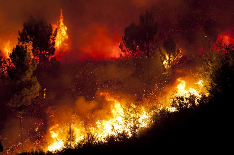 Incendio Forestal Incendio Forestal