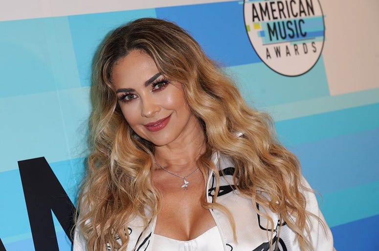 Aracely Arámbula Bailando Sensualmente Reggaeton Recording artist/actress Aracely Arambula attends Telemundo's Q&A session about the contribution of latinas in the music world at Los Angeles Film School on October 23, 2018 in Los Angeles, California.
